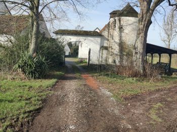 Randonnée Marche Péruwelz - roucourt 20 km 16 février 2021 - Photo