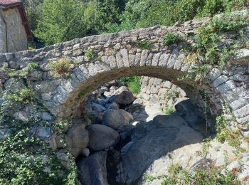 Randonnée Marche Vialas - sud Mont Lozère de Vialas  - Photo