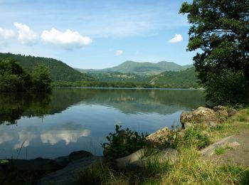 Excursión Senderismo Murol - Chambon_Lac_Murol - Photo