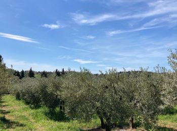 Excursión Senderismo Les Baux-de-Provence - Huilerie, Vin, les baux de Provence, avec Château - Photo