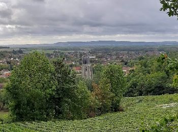 Percorso Marcia Villenauxe-la-Grande - VILLENAUXE LA GRANDE, village et Val de Noxe - Photo