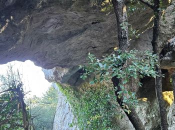 Excursión Senderismo Belgentier - Chemin de la Foux - Pas de Belgentier - Pont de la Garoute - Photo