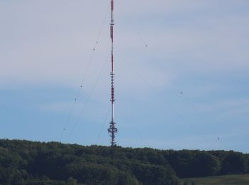 Randonnée A pied Bischofsheim i.d.Rhön - Bischofsheim Rundweg 6 - Zum Rhönhäuschen - Photo