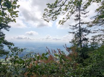 Tour Wandern Rüttenen - Weissenstein - Photo