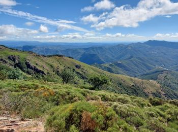 Tour Wandern Arphy - les cascades d orgon - Photo