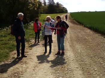 Tocht Stappen Longeville-en-Barrois - beauregard - Photo