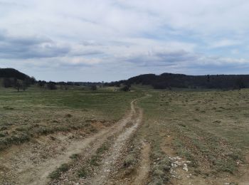 Tour Wandern Valserhône - Cuvéry Grange à Charpy - Photo