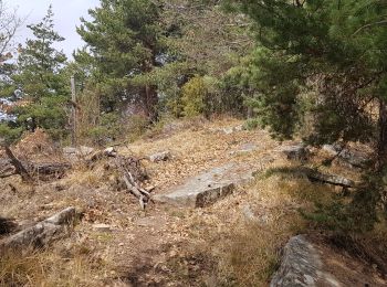 Randonnée Marche Castellet-lès-Sausses - retour par Balmont - Photo