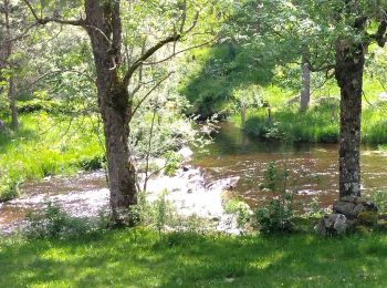 Excursión Senderismo Termes - Termes Aumont aubrac - Photo