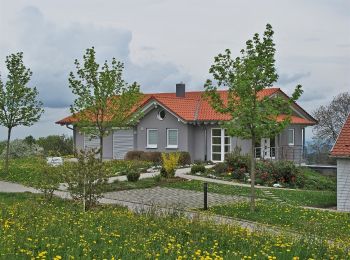 Tocht Te voet Neuenbürg - SWV-Wegstücke mit gelben Rauten rund um Neuenbürg - Photo