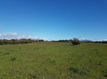 Excursión Marcha nórdica Le Puech - Les Vailhés Salagou Pradines L'Auverne - Photo