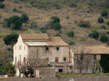 Tour Zu Fuß Tiana - SL-C 145 La vall de Montealegre - Photo