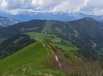 Tocht Stappen Les Houches - Maison Neuve (Les Houches) boucle par Bellevue et Mont  Lachat - Photo