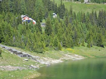 Excursión A pie Chiesa in Valmalenco - (SI D24N) Rifugio Longoni - Rifugio Palù - Photo