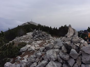 Randonnée Marche Beaumont-du-Ventoux - Ventoux-Rochers de Cachillan 12km - Photo