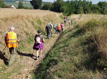 Trail Walking Chézy-sur-Marne - Chezy - Photo