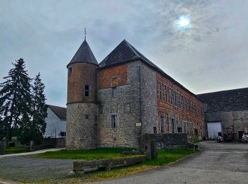 Excursión Senderismo Doische - Balade de Doische à Foisches - Photo