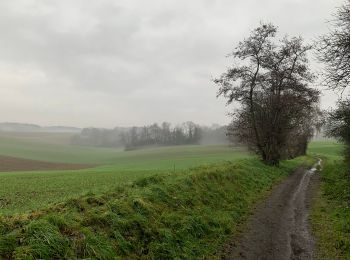 Percorso Marcia Wavre - Autours des champs - Photo