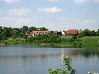 Tocht Te voet Allersberg - Quellen am Rothsee - Photo