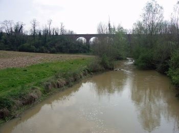 Percorso A piedi Coussan - Le Tour du Lac - Photo