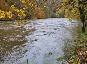 Tour Wandern Florenville - Les Epioux 311023 - Photo