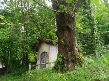 Tour Zu Fuß Coggiola - IT-G05 - Photo