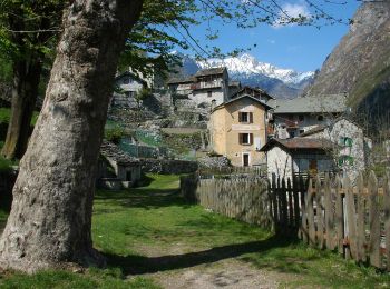 Tocht Te voet Novate Mezzola - (SI D18N) Codera - Frasnedo - Photo