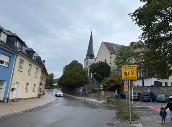 Trail Walking Wiltz - 89.401 Wiltz - Circuit Ville Haute - Photo