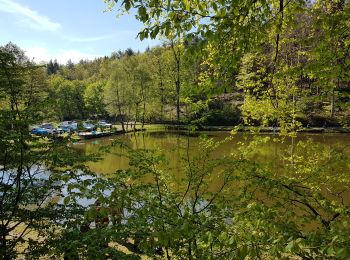 Randonnée Marche Saverne - Saverne : rocher Rappenfels - grotte St Vit - château Greifenstein - Photo