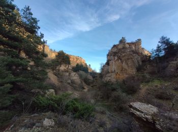 Excursión Senderismo Palhers - Prades montagne fendu - Photo