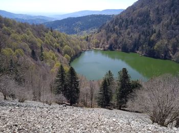 Randonnée Marche Urbès - rouge gazon  - Photo