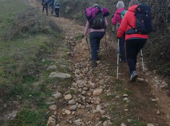 Tour Wandern Saint-Sylvestre - Saint Sylvestre - Photo