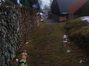 Randonnée Marche Hohrod - Hohrodberg Haslach - Photo