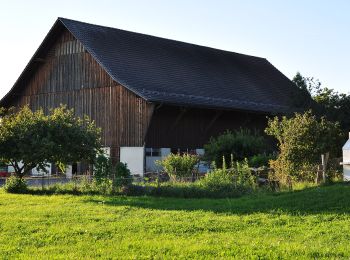 Percorso A piedi Rümlang - Chatzenrüti - Oberhasli - Photo