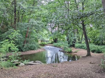 Tocht Stappen Riorges - variante pr12 les ecureuils - Photo