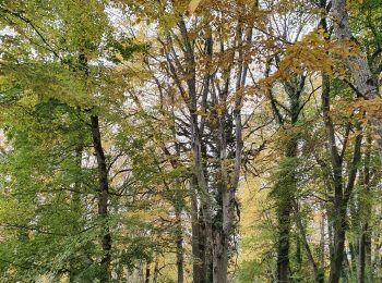 Trail Walking Bressieux - Château de Bressieux - Photo