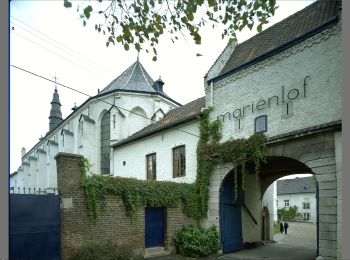 Tocht Te voet Borgloon - Mariënlof Rode pijl - Photo