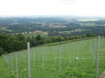 Randonnée A pied Sankt Stefan ob Stainz - GenussSchilchern dort - Photo