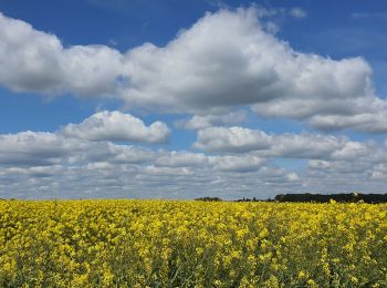 Randonnée Marche Étrépagny - Etrépagny, La Broche, Le Mesnil Guilbert - Photo