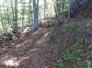 Excursión Senderismo Nozières - Nozière col du buisson Raymonde - Photo