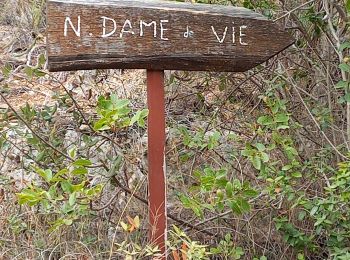 Excursión Senderismo Fuilla - notre dame de vie Villefranche de Conflent - Photo