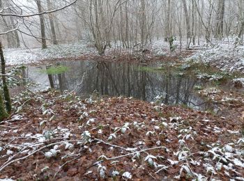 Randonnée Marche Bouilly - Balade dans les bois - Photo