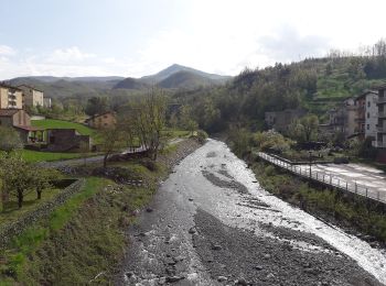 Tour Zu Fuß Ferriere - Ferriere - Canadello - Lago Moo - Lago Bino - Photo