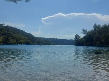 Randonnée Nage Esparron-de-Verdon - nage jusqu'à la pointe et retour - Photo