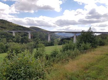 Randonnée Randonnée équestre Moirans-en-Montagne - rando Jura route j2  - Photo