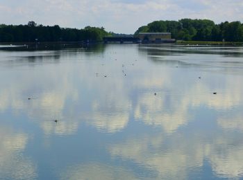 Tocht Te voet Elchingen - Donausteg- Tour - Photo