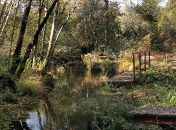 Tour Wandern Saint-Pierre-Bellevue - cent pas beauvais - Photo