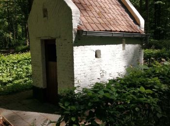 Trail Walking Silly - HT-06_complet - Photo