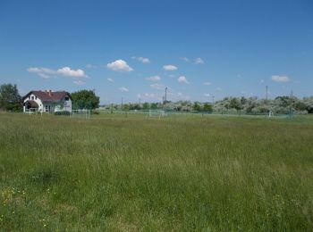 Tour Zu Fuß Pákozd - ZT (Madárdal tanösvény) - Photo