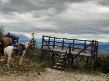 Trail Horseback riding Groslée-Saint-Benoit - la montagne de st Benoit par la piquette et retour par farou - Photo